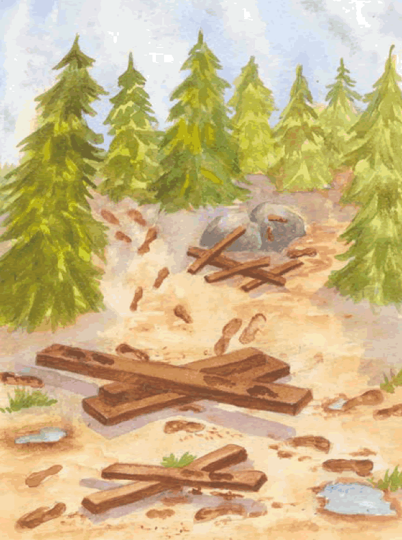 illustration